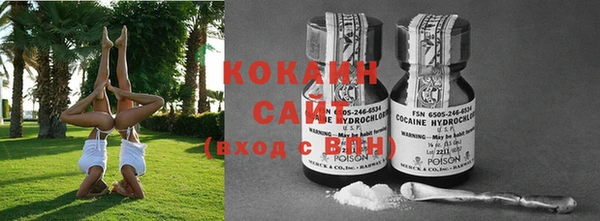 COCAINE Богородицк